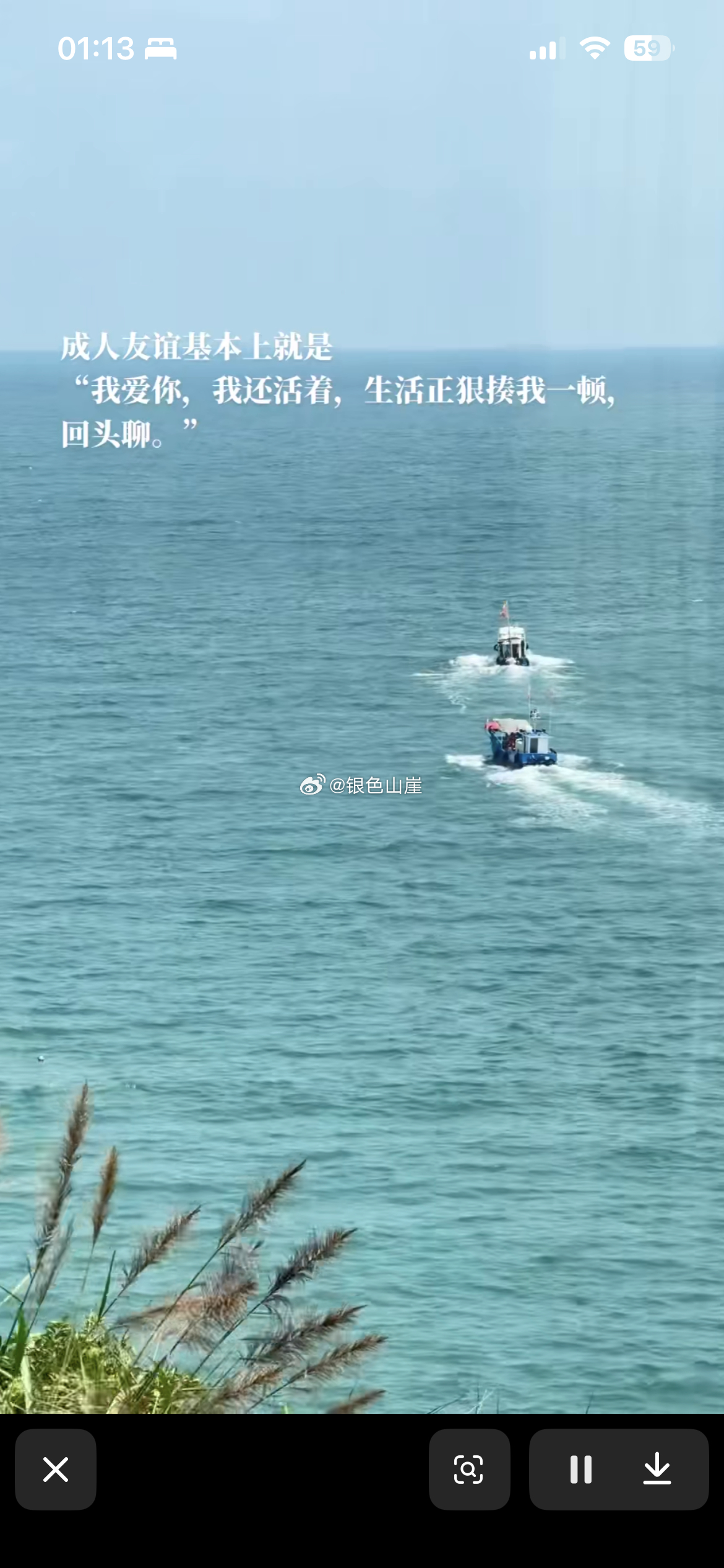 分享图片 ​​​
