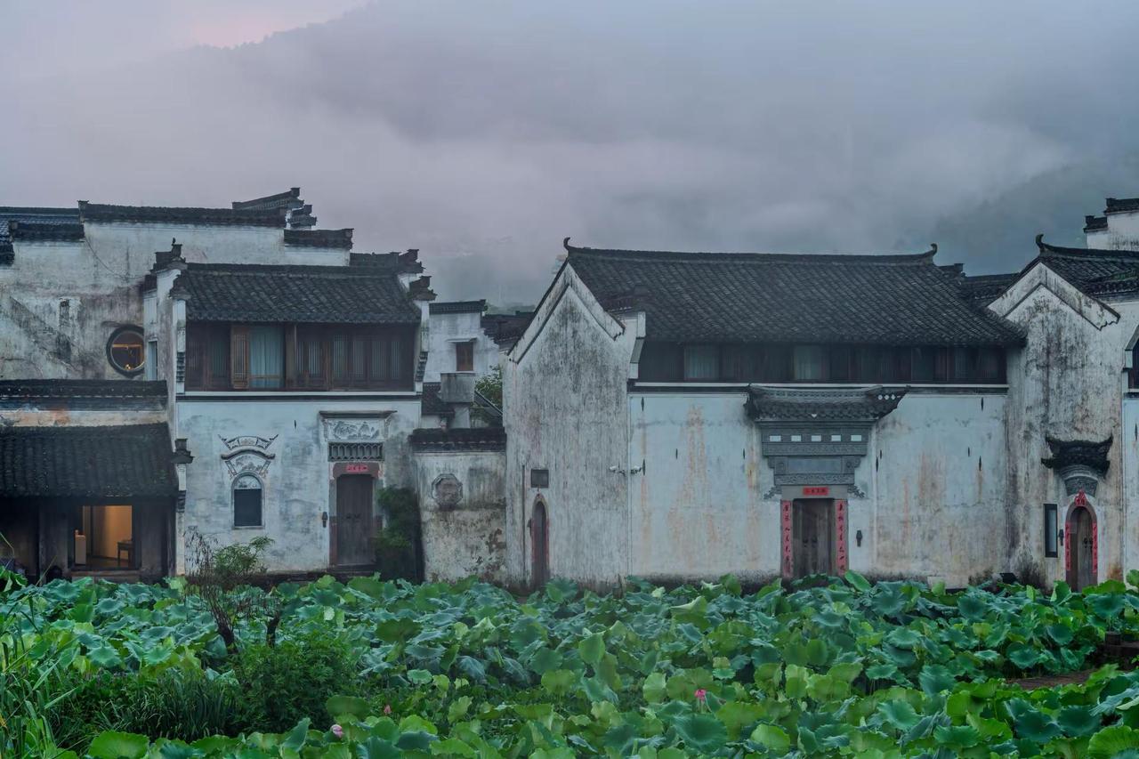 黄山呈坎八卦村。黄山呈坎八卦村徽派建筑美如画 白墙黛瓦徽派建筑 徽派乡村 徽派建