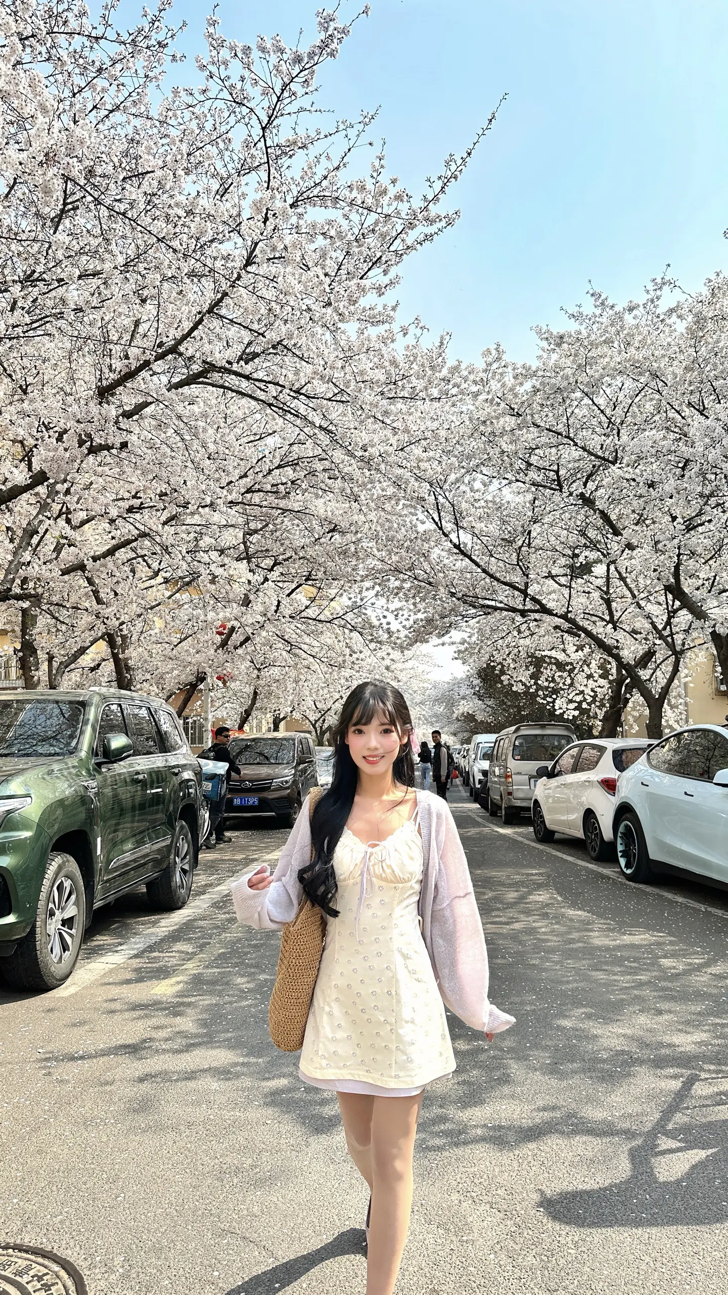 ˚.⋆ 𖧷和春天见个面🌸₊⁺