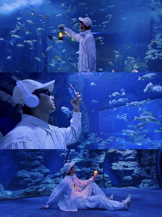 暑假避暑天堂！我愿称之为国内海洋馆天花板！