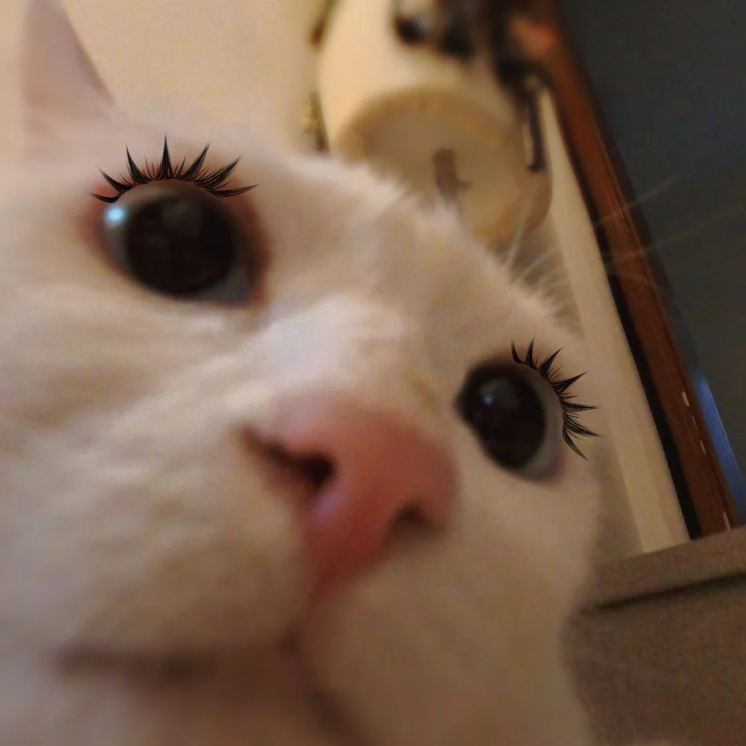 自拍