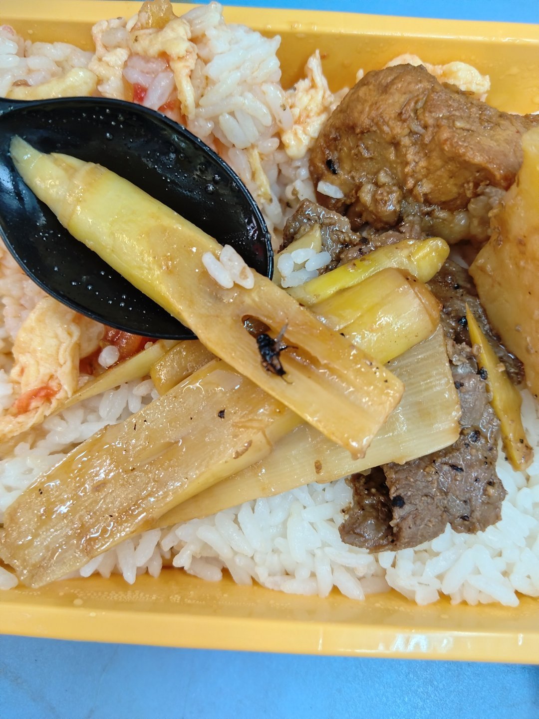 我真的生气了  我要饿死了 