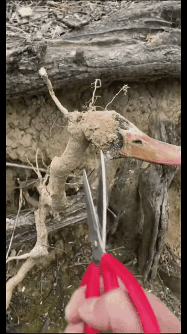 大自然的鬼斧神工！🤩