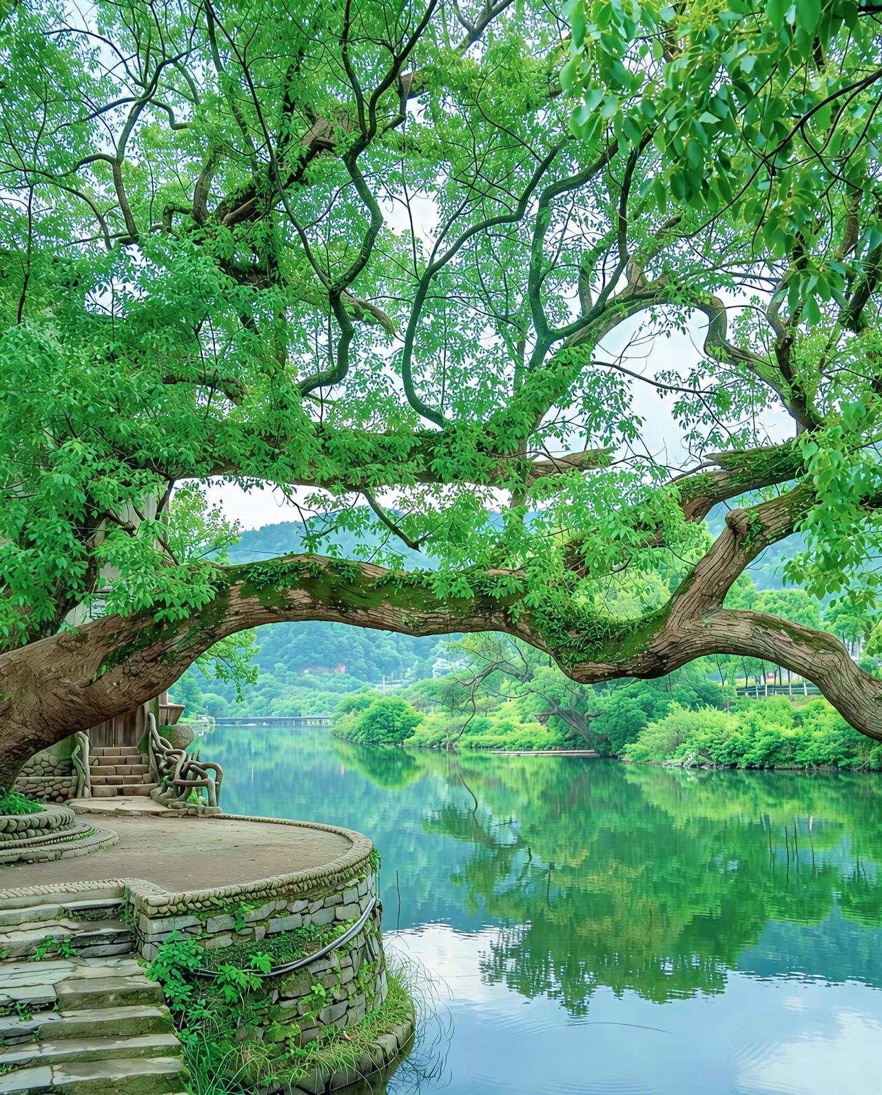这样的人才是幸福的，你幸福吗？

世间之人，莫不追求幸福，可总是求而不得。只因为