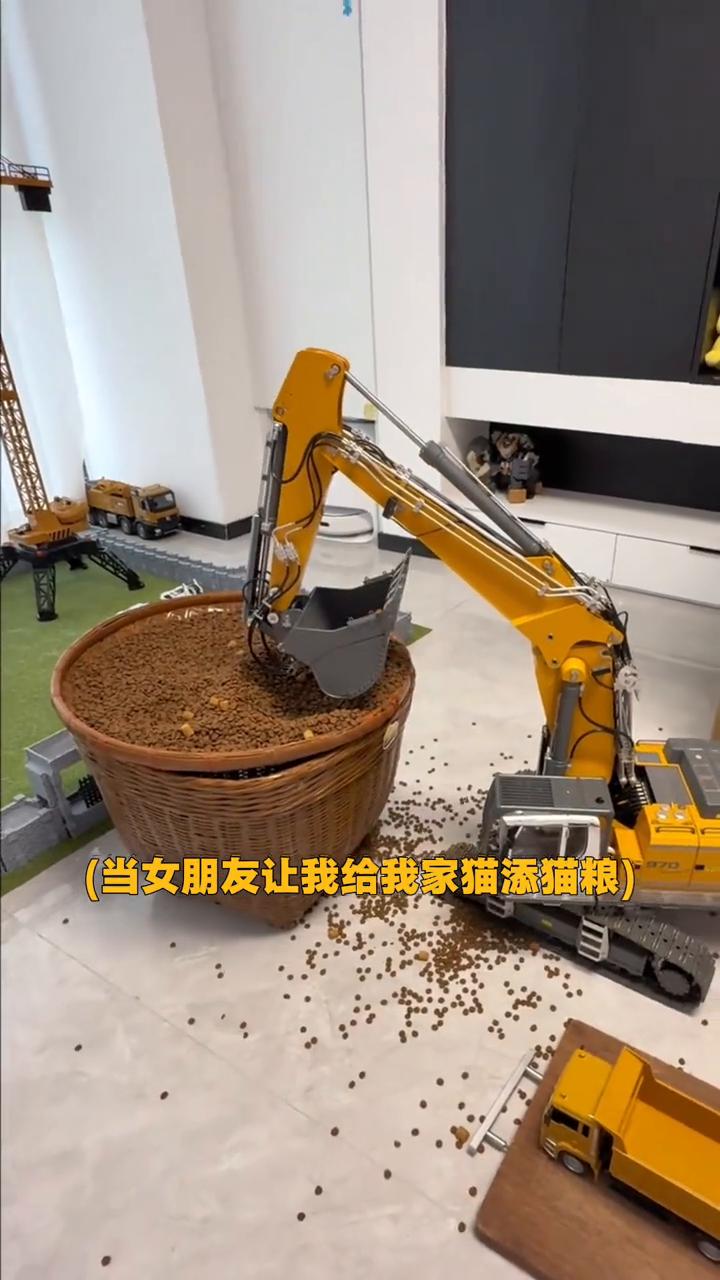 当女朋友让我给我家猫添猫粮。