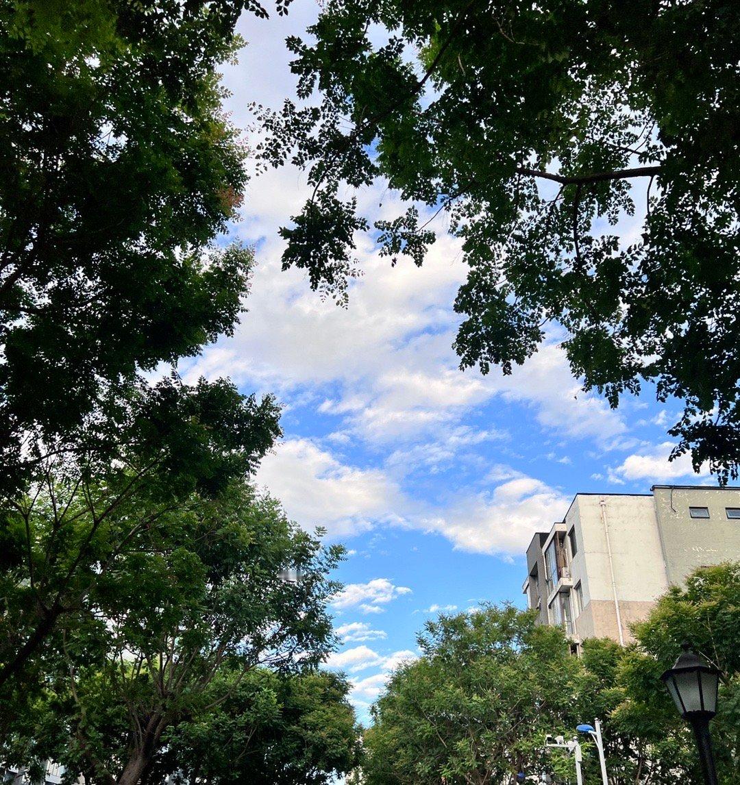只要不关注任何人的动态，不揣测任何人的想法，不去设想一些没发生的事情，简单点，钝