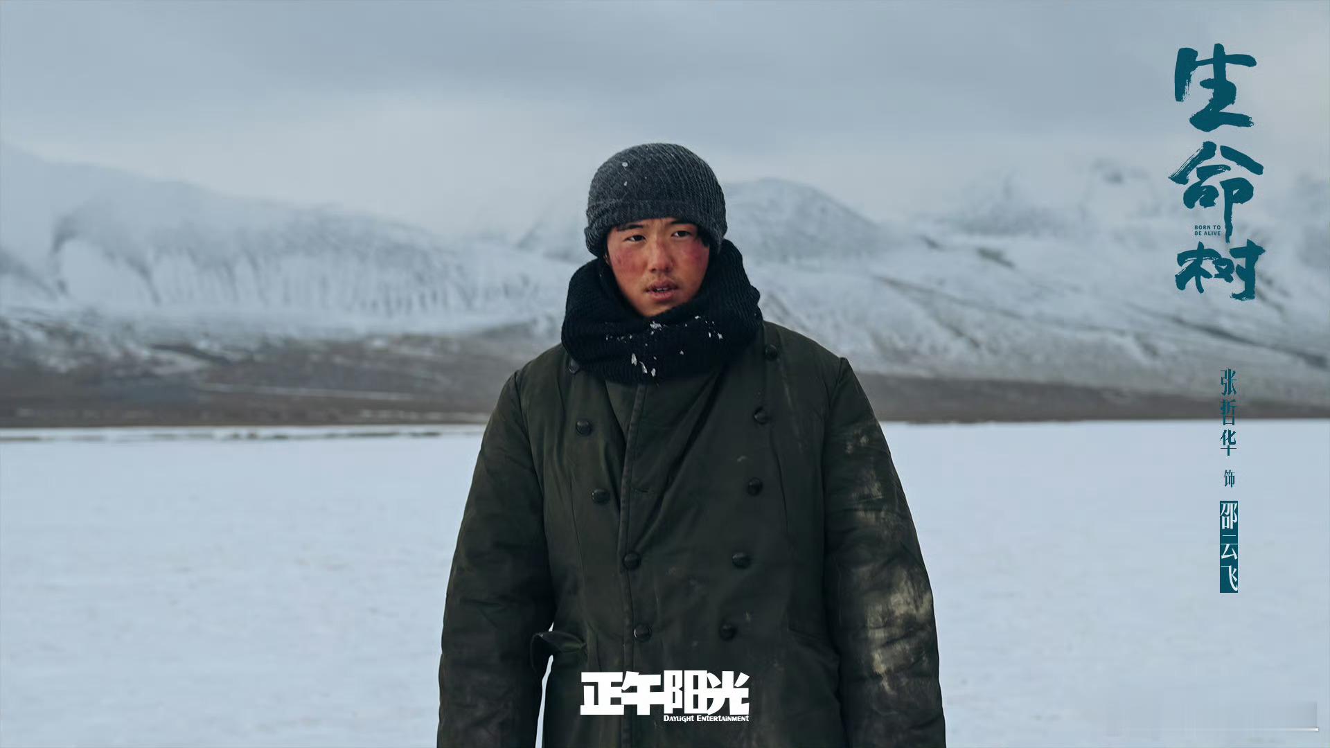 生命树云合评级S杨紫胡歌新剧《生命树》昨日云合是10.4％ ，云合评级是S ，这