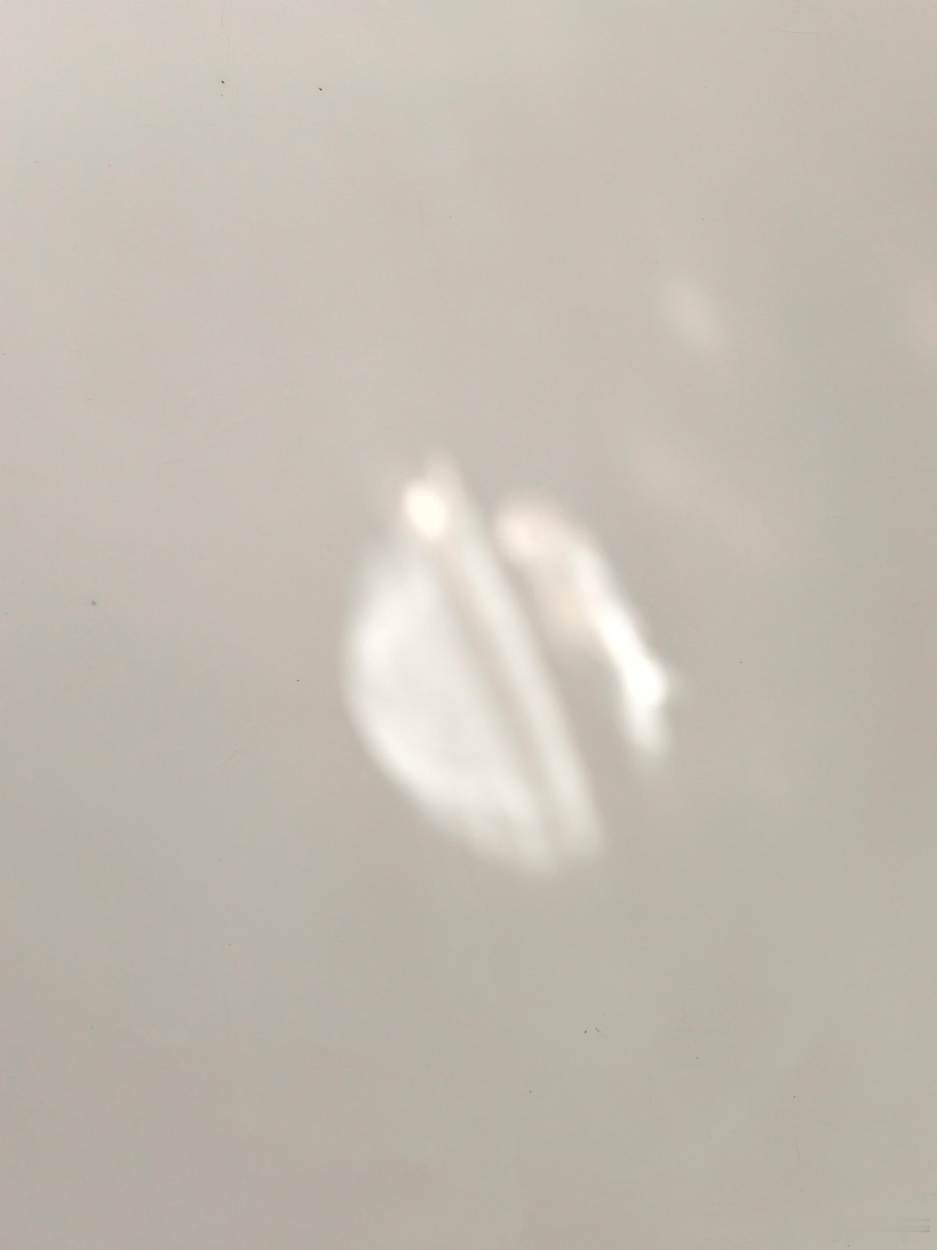 广州这几天怎么能这样热啊，今天太阳透过来房间里我都觉得发烫，亮度也猛了几个点儿。