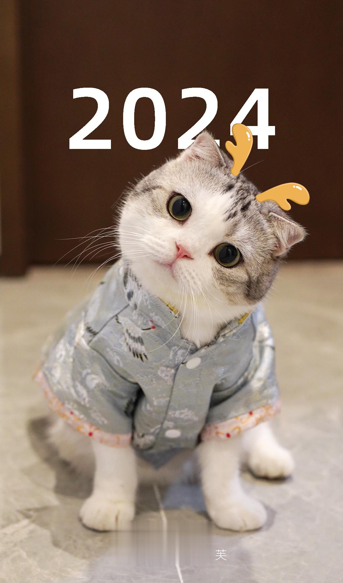 最后一天！2024年台历今晚12点过后就恢复原价咯，而且也不送卡套啦！这几天直播