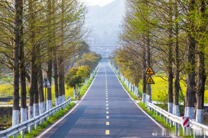 临海农村公路开启全寿命养护新模式临海拥有两千多公里农村公路，体量居台州第一，如今