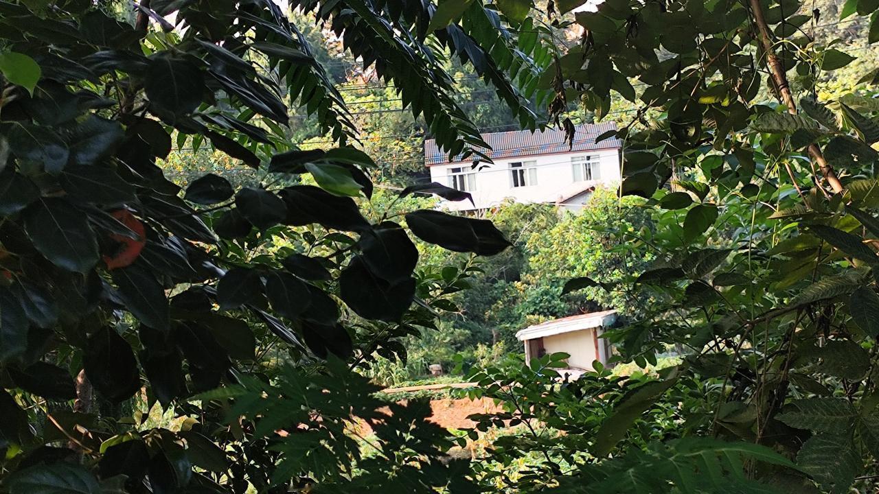 秋日生活打卡季乡村风景欣赏分享一张自然风景的照片