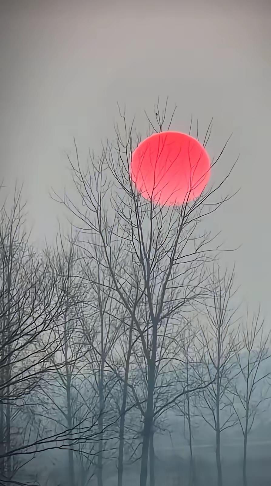 能让别人快乐的人，
一定很善良。
能让自己快乐的人，
一定很聪明。
生活中最好的