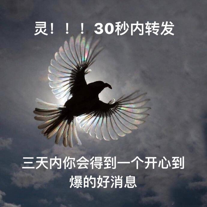 灵的！不要无视！30s内，3天内你必会得到一个开心爆炸的好消息～ 