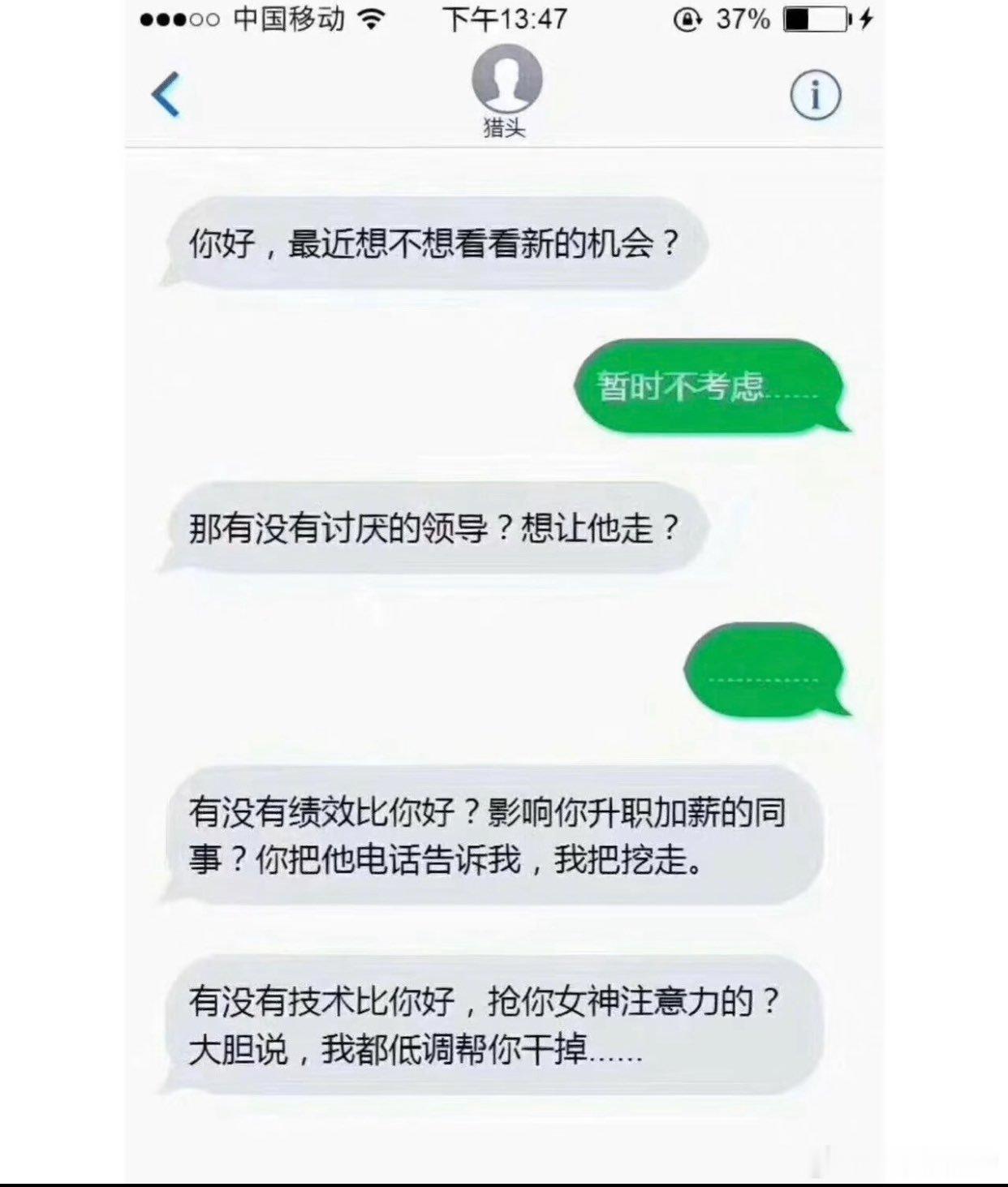疯狂的猎头 