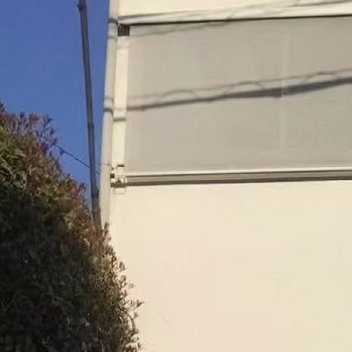 自由的理智会像上帝那样看待事物，没有此时和此地，没有希望和恐惧，没有惯常信念和传