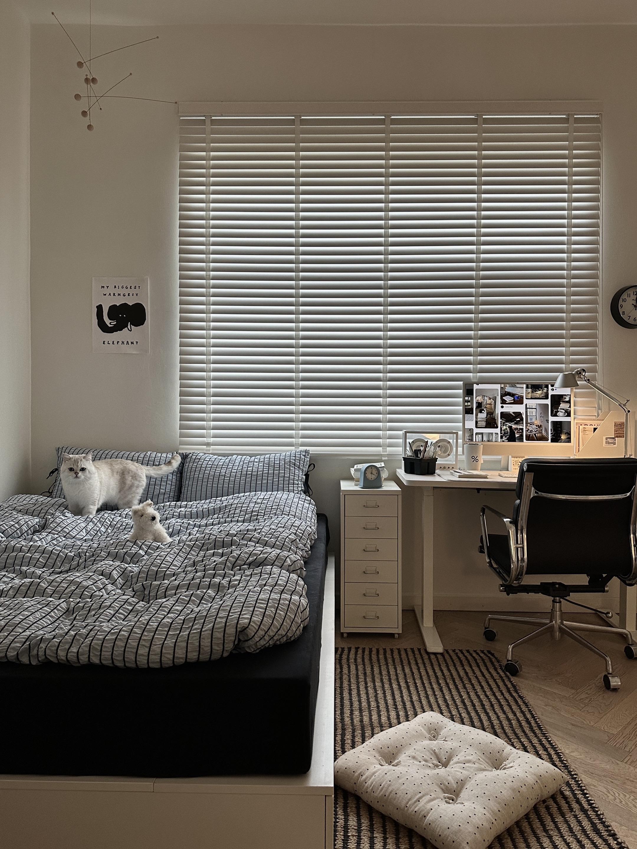 适合一个人住的小房间。