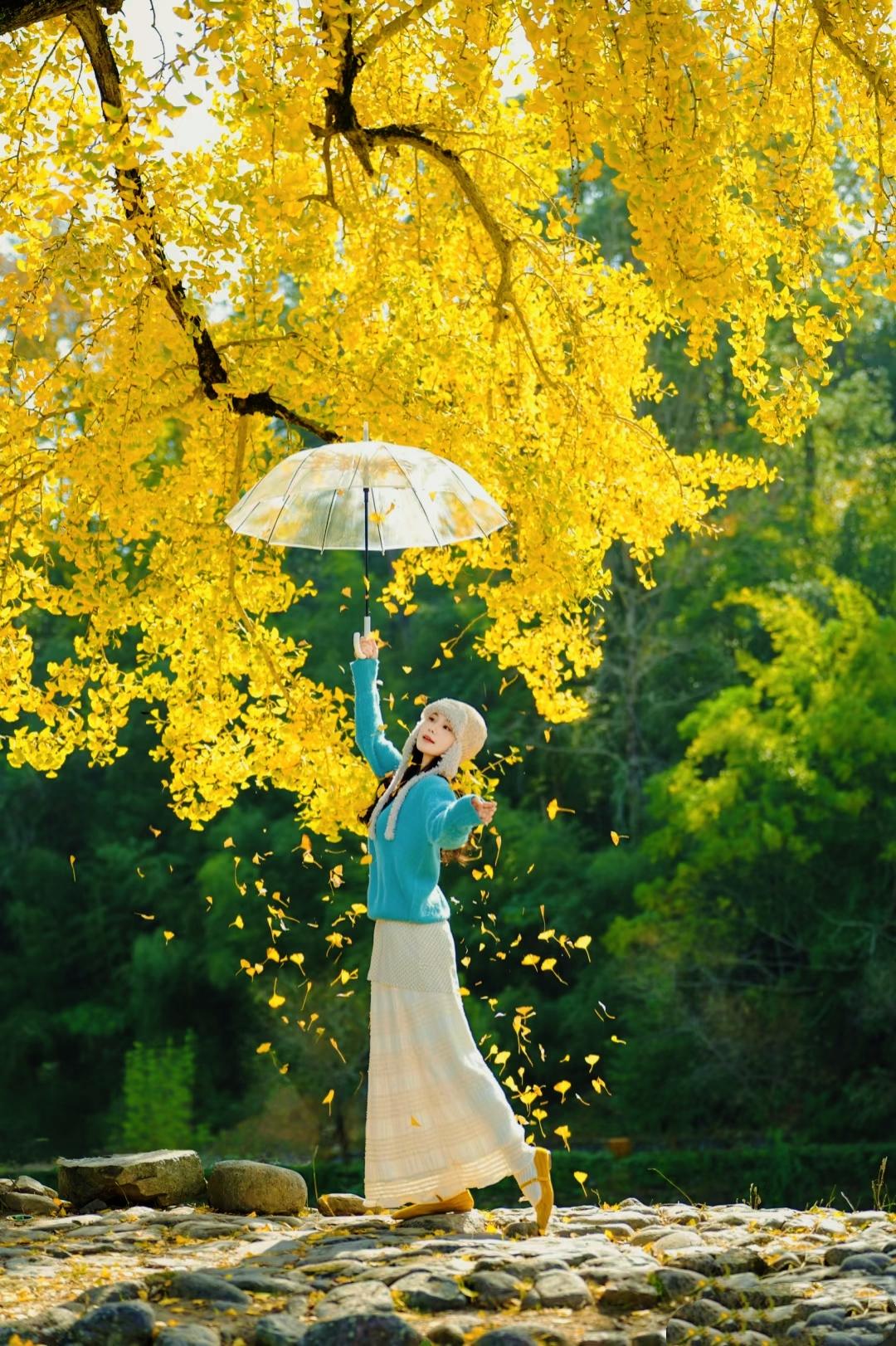 活了大半辈子才懂：善良不是无底线的退让，而是带刺的温柔，既护得住别人，也守得住自