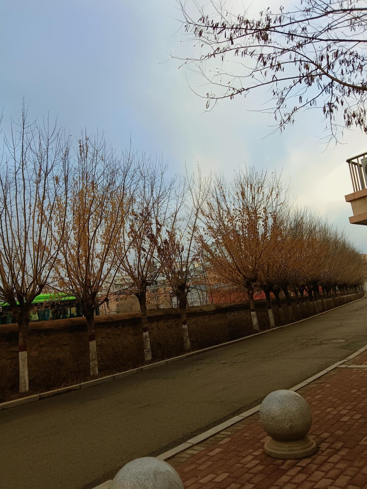 秋意渐浓，落叶铺满小径，静待冬日来临。