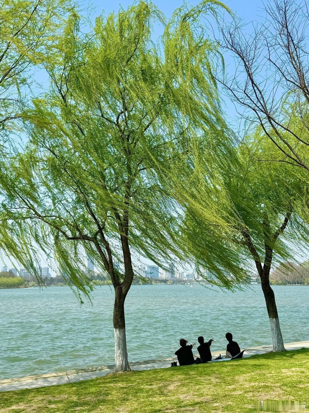 我的私人宝藏书单书评读书 是普通人的救赎 每个人都会活到把爱补全的夜晚。——勒内