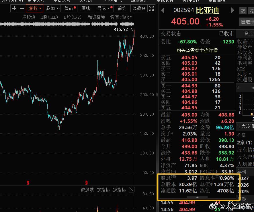 比亚迪股票今天再创历史新高，股价达到了405元，总市值高达1.23万亿。资本是最