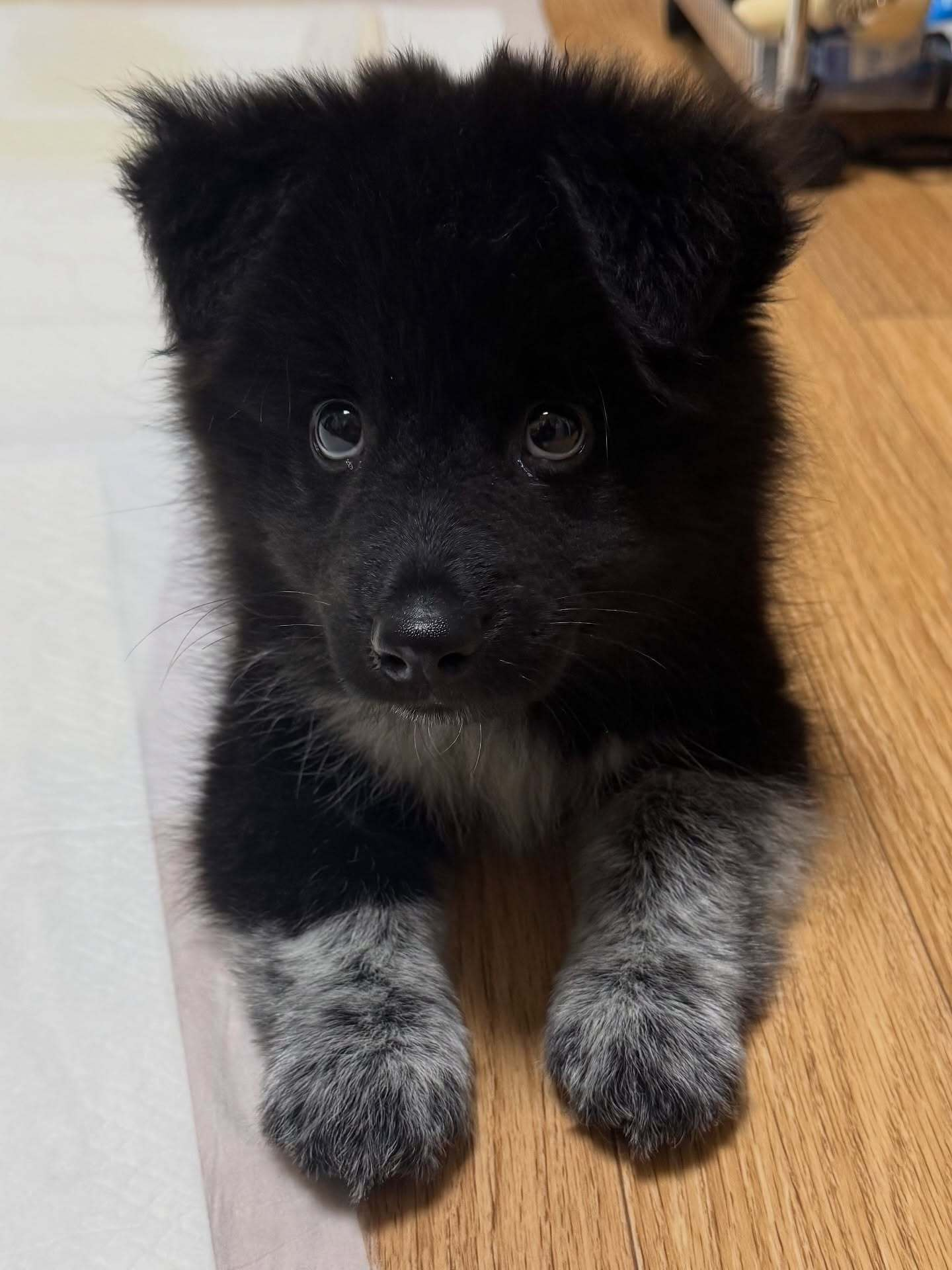 宝宝，你怎么穿了长袜呀 