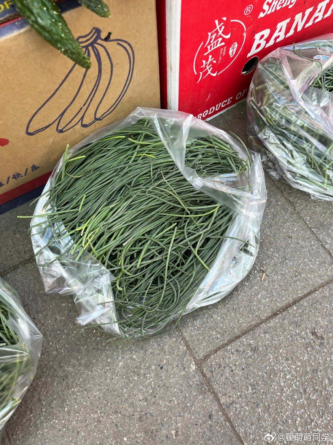 这回沙葱吃多了。  ​​​