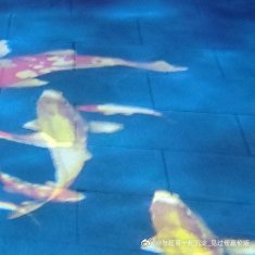 阳光信用[超话] 人生的道路从来都不是一成不变 有坦然 也必然有曲径 有阳光 也