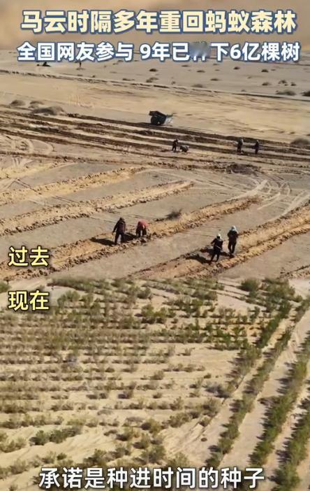 9年种树6.19亿棵，蚂蚁森林累计种植面积相当于半个乌兰布和沙漠！


蚂蚁森林