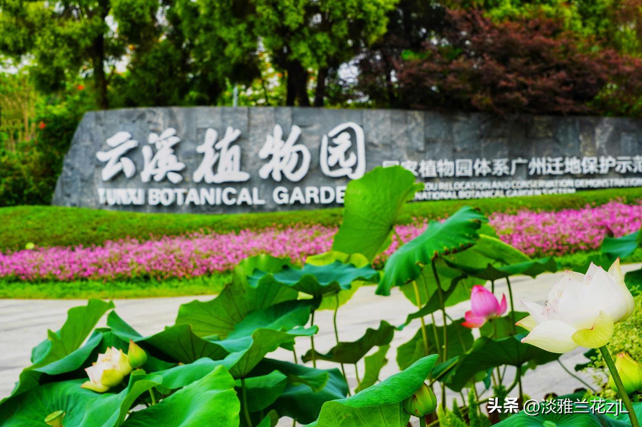 云溪植物园赏花
【原创摄影】
云溪赏花录 云溪植物公园 云溪花海瀑布