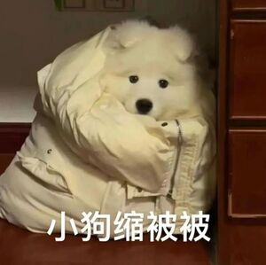 我妈真的做饭异想天开，家里有啥炒啥。比如豆芽炒豆腐，比如鸭血炒山药[揣手] ​​