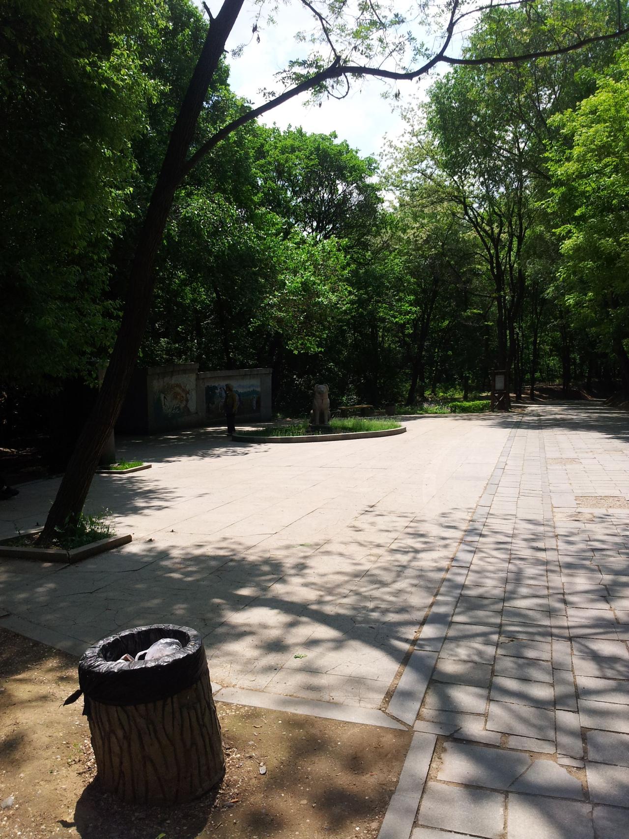 🌳木雕沉默如哲人，年轮里藏着风的絮语。旅人驻足，与时光撞个满怀✨