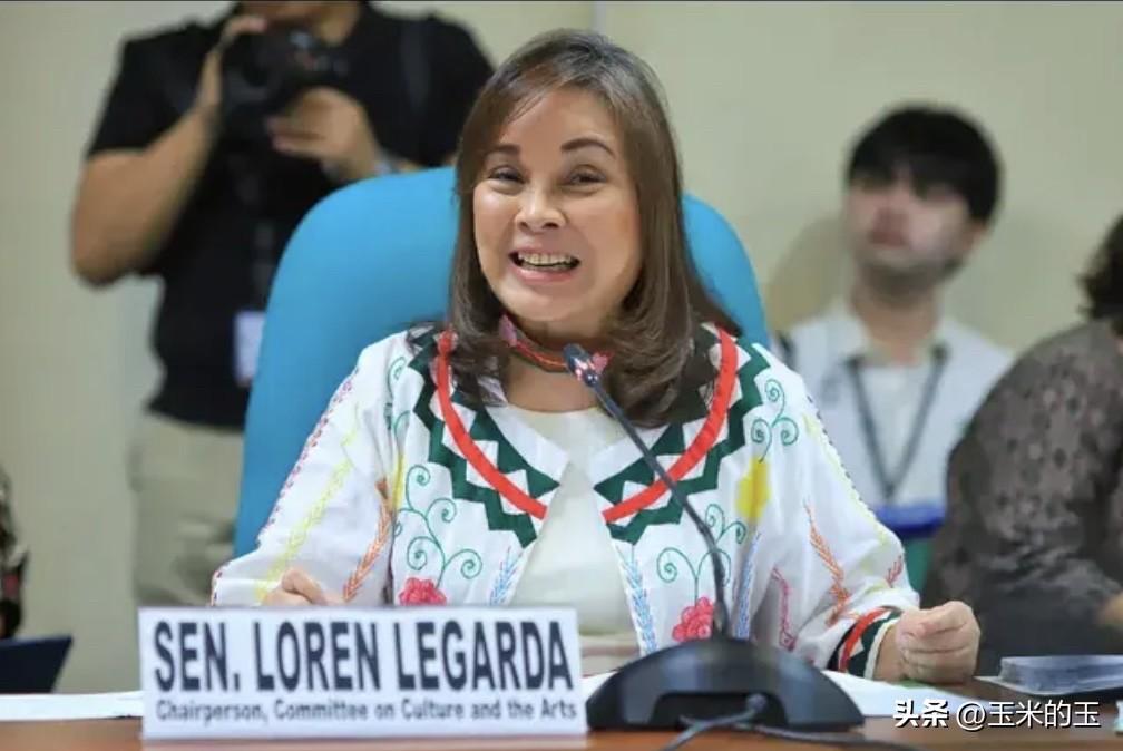 菲律宾参议院多数党领袖胡安·米格尔·苏比里周四证实，他曾提议在临近2028年大选