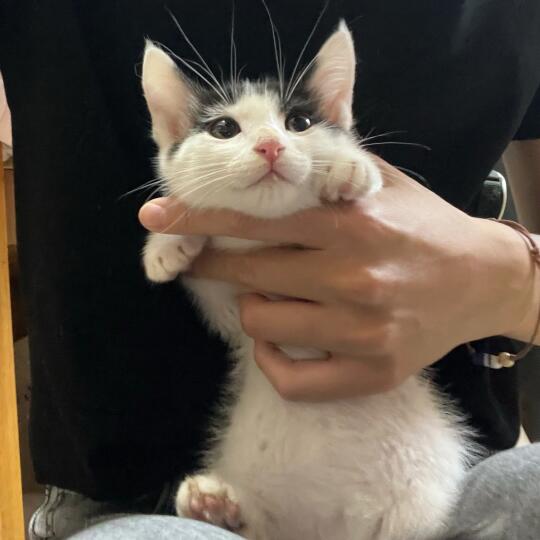 宝宝你像一只小鼹鼠