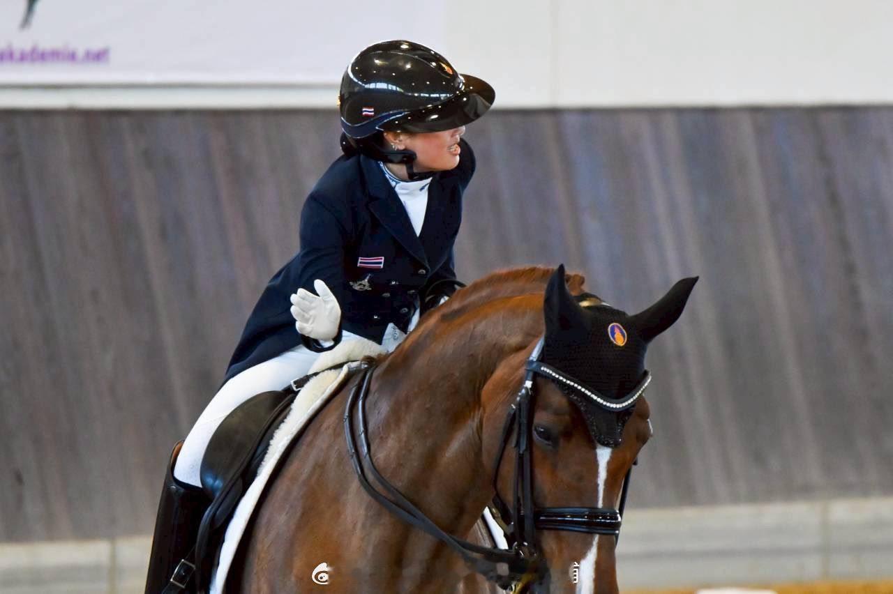 王室王室泰国王室镇宅 镇宅的马术训练。 