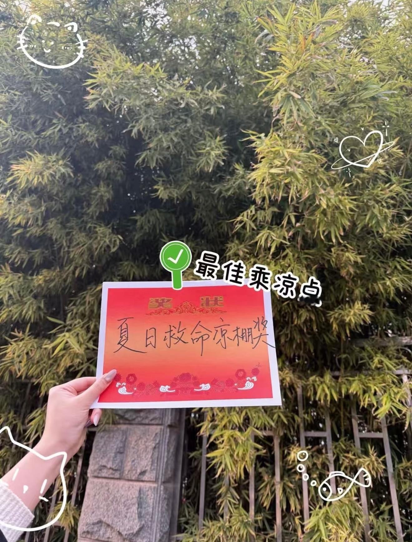 继给大树穿衣后迎来给树颁奖时代 给大树穿衣风靡一时，现在开启给树颁奖，让一棵默默