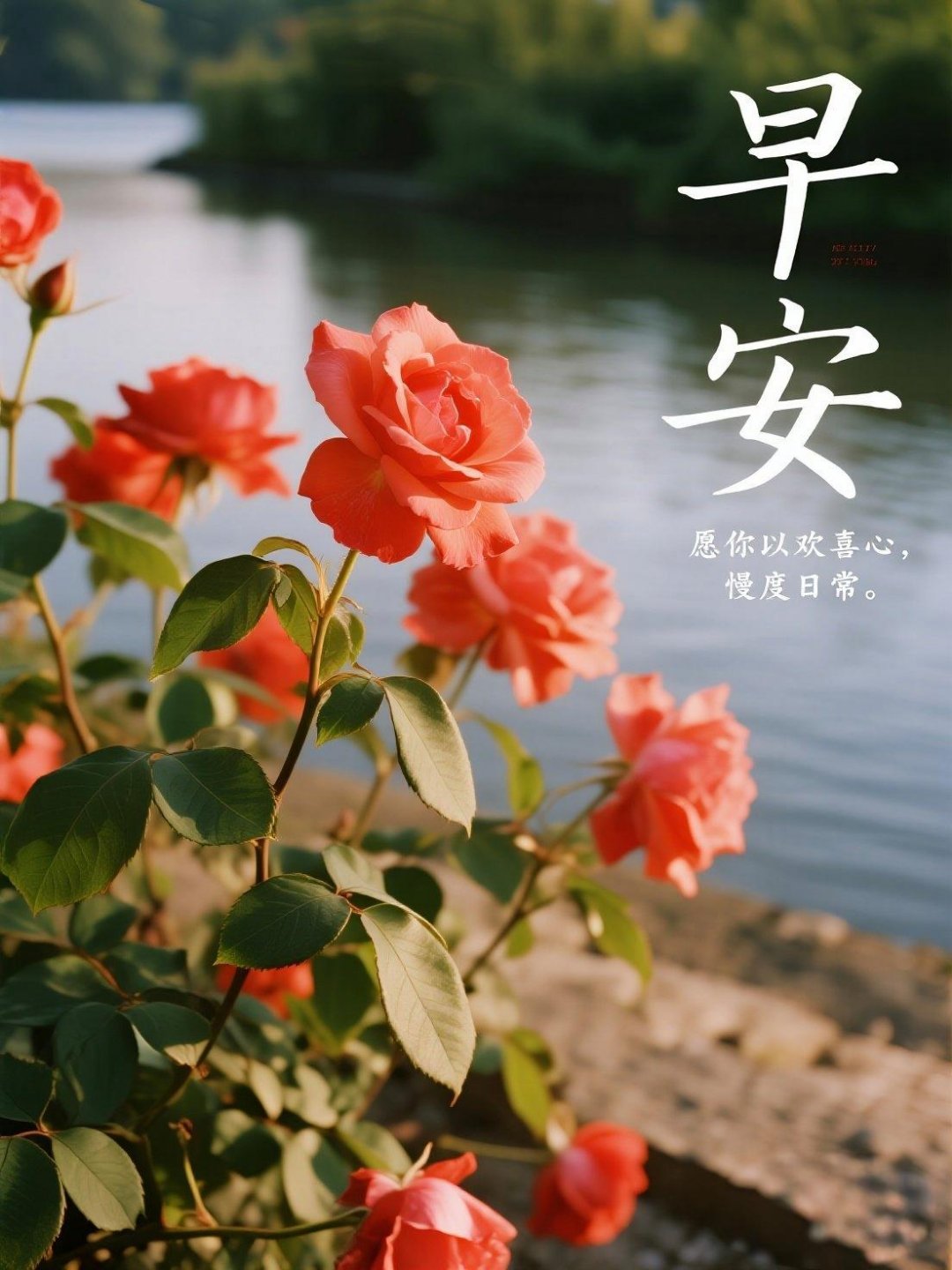 早安 新周早安把上周的疲惫留在昨天带着温柔与热爱出发愿日子清透安稳平凡日常里藏着