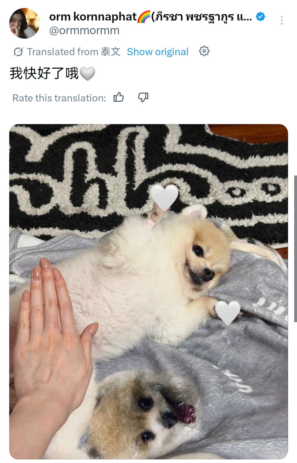 我的宝宝 