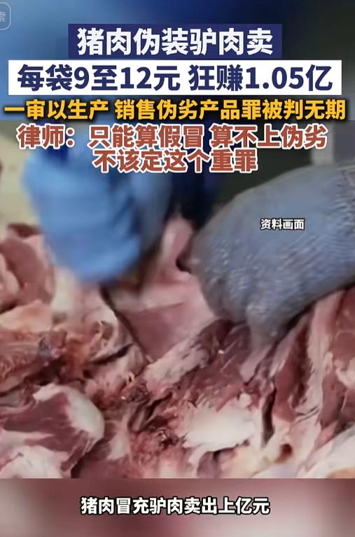 “这样做生意能行吗！”有人拿猪肉灌肠愣充驴肉，9块一袋，卖出一个多亿，法院直接甩