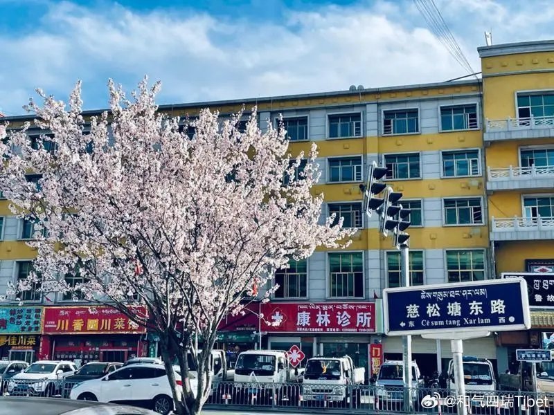 拉萨市城关区娘热街道慈松塘社区“慈松塘”，是古地名。“慈松（ཚེས་གསུམ）”