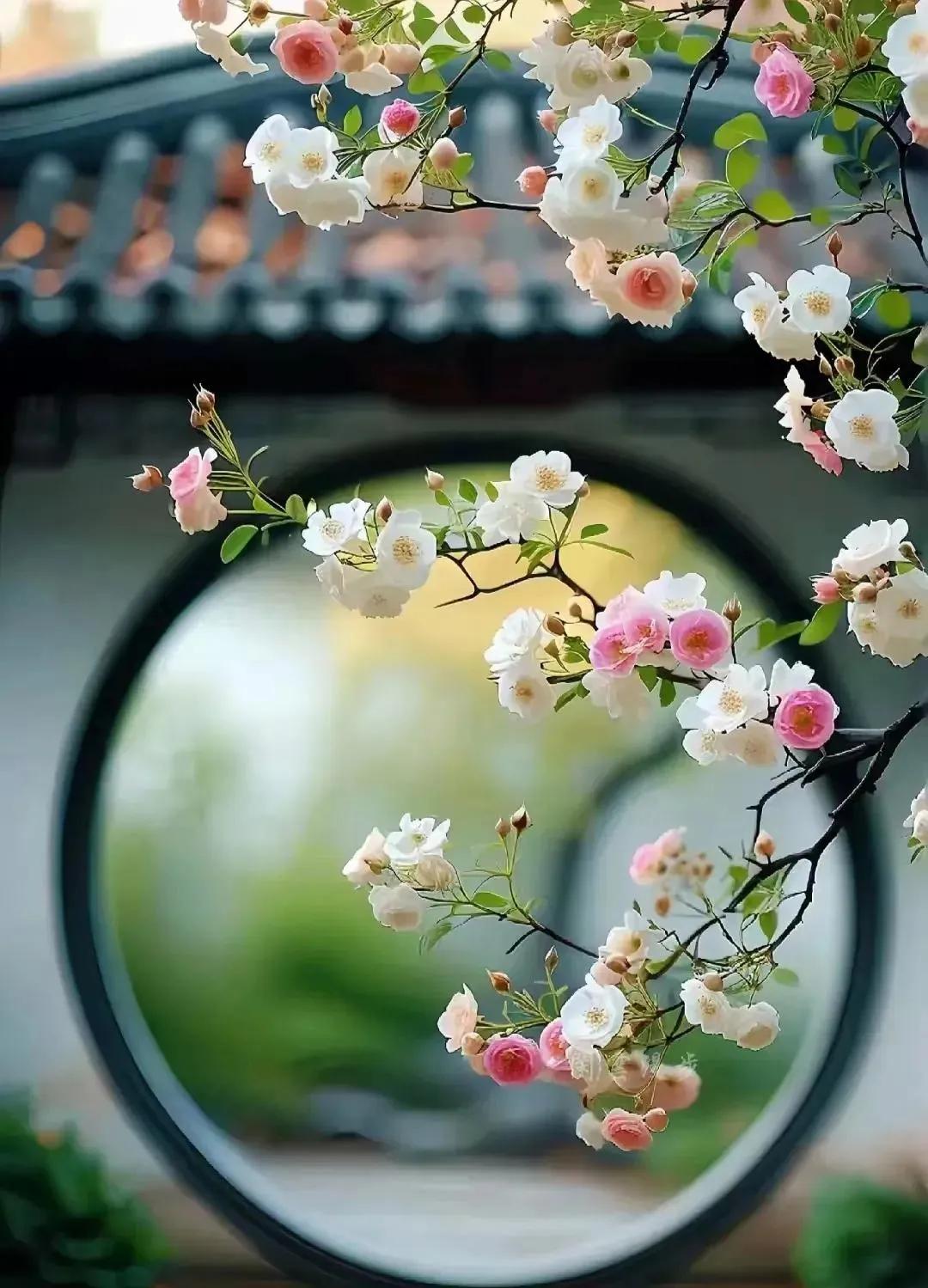 我婆婆叔家的妹妹，青岛工作，个高身材好，皮肤白，算是中等偏上的人，自己买了车房，