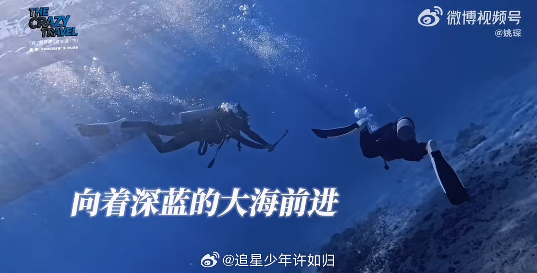 姚琛在巴厘岛深潜拍到海狼风暴被深海美景狠狠治愈！姚琛深潜巴厘岛，镜头定格海狼风暴