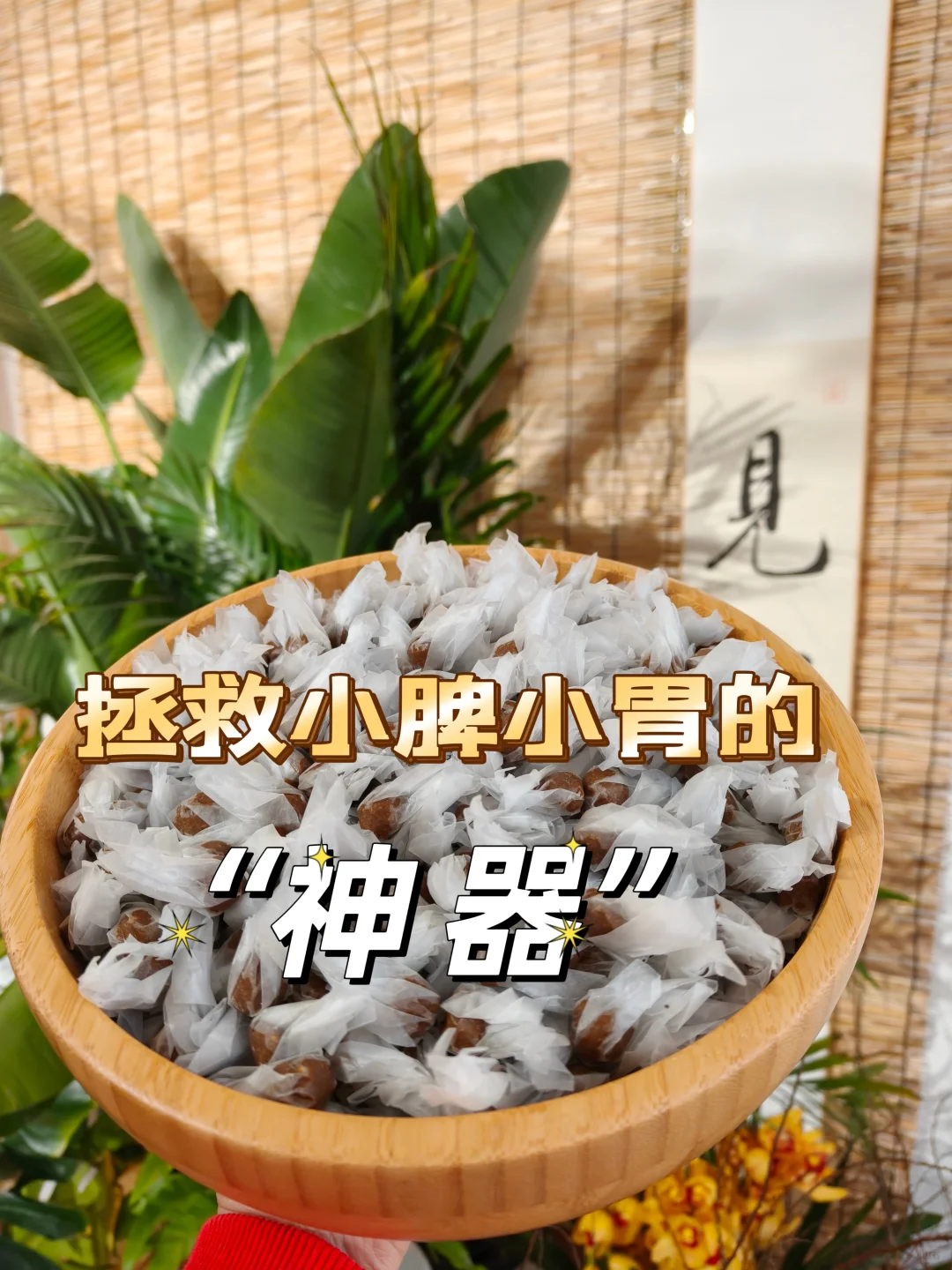 【宝妈必看】拯救宝宝脾胃的“神器”来啦！