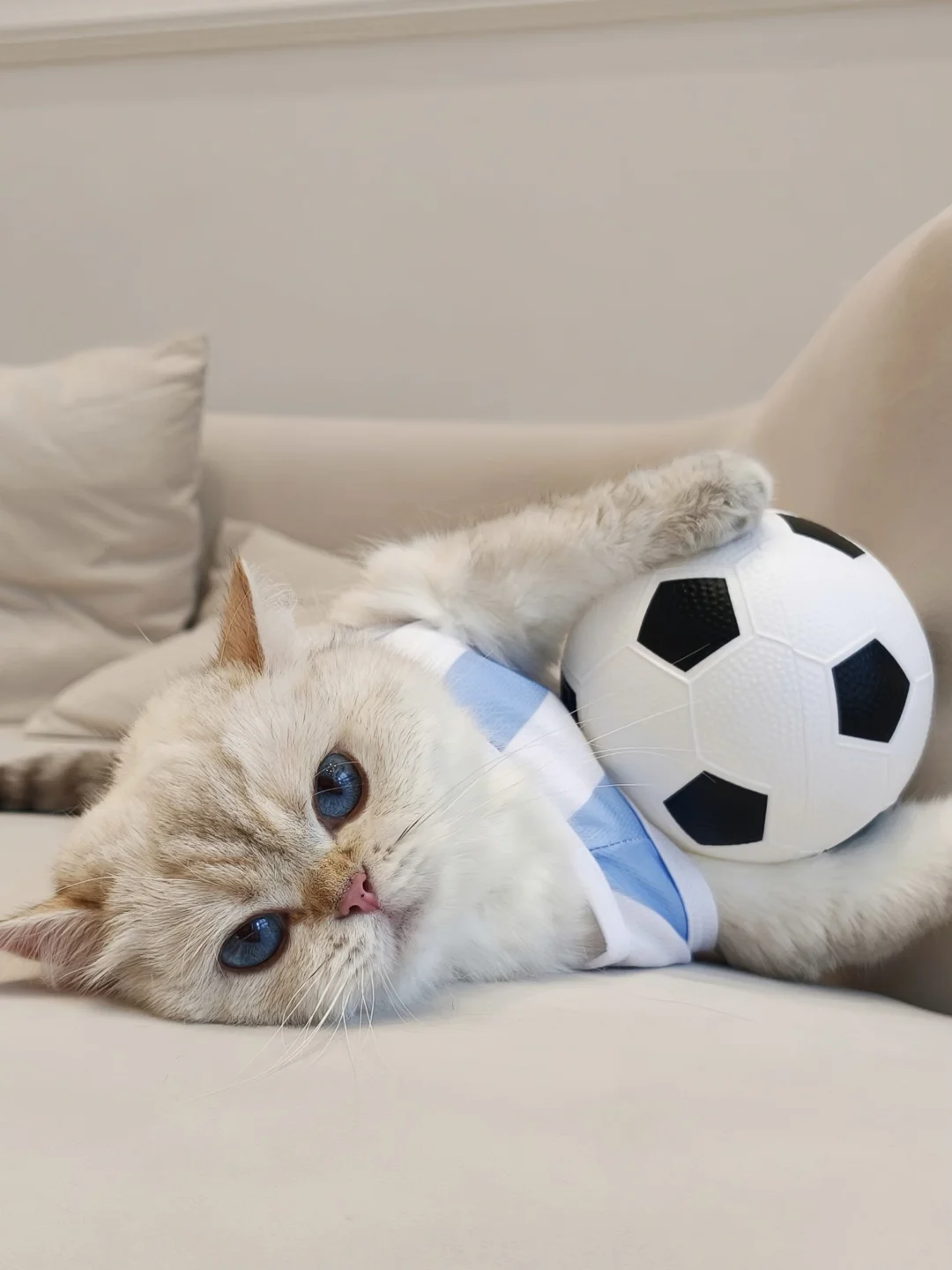 阿根廷🇦🇷再添一员猛将