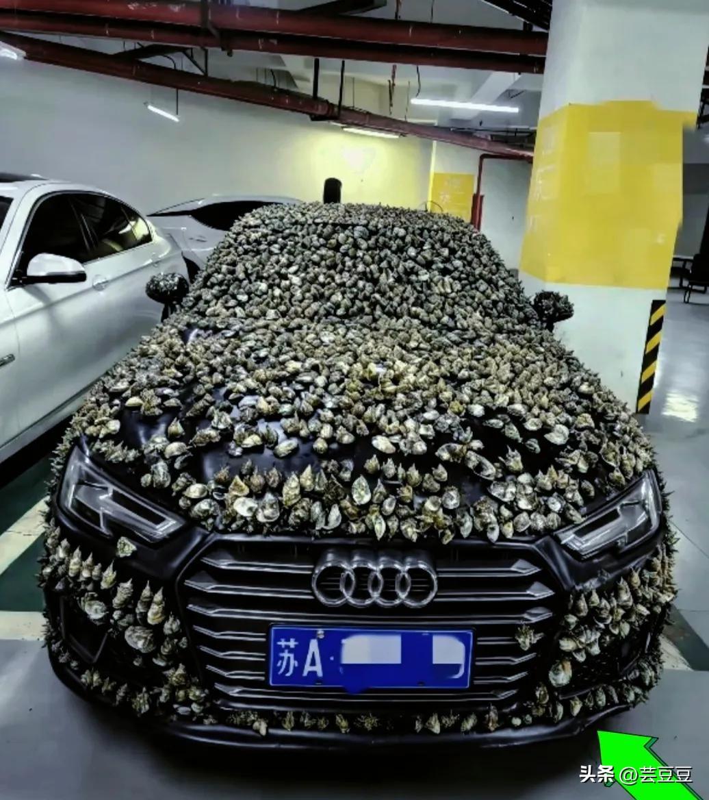 一分赔偿都不要，就是要让乱占车位的人好好长长记性！
 
江苏一位陈大哥，遇上了一