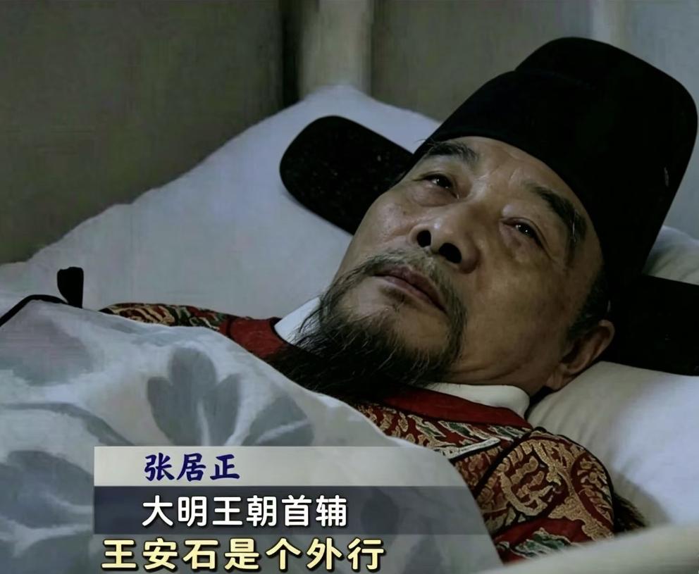 网友弄的神图：张居正临终说王安石是个外行。

说起来这个图挺符合历史的，王安石的