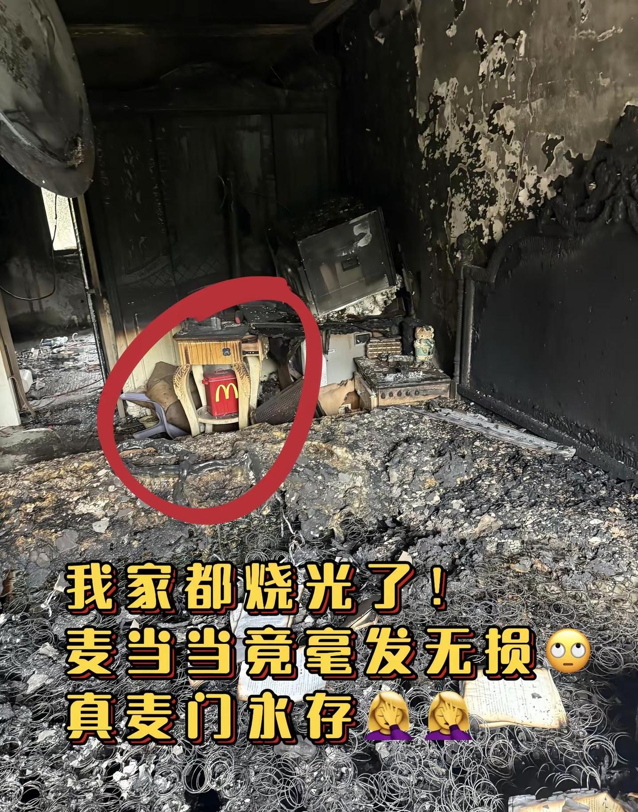 我家都烧🔥光了，麦当当竟毫发无损！ 这才是麦门永存好吧？🤦‍♀️🤦‍♀️麦