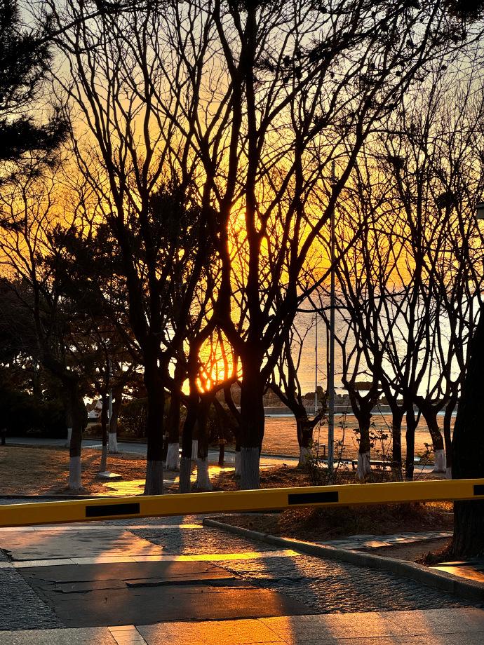 雨过天晴，从明天开始，青岛将迎来连续多日的晴天，只是温度有点低。穿厚点，早点来雕