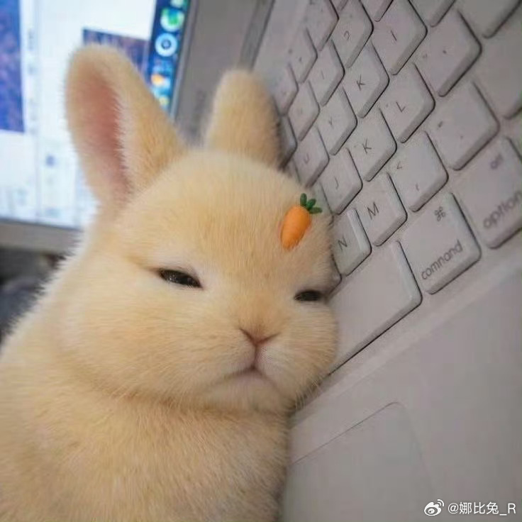 好累。 