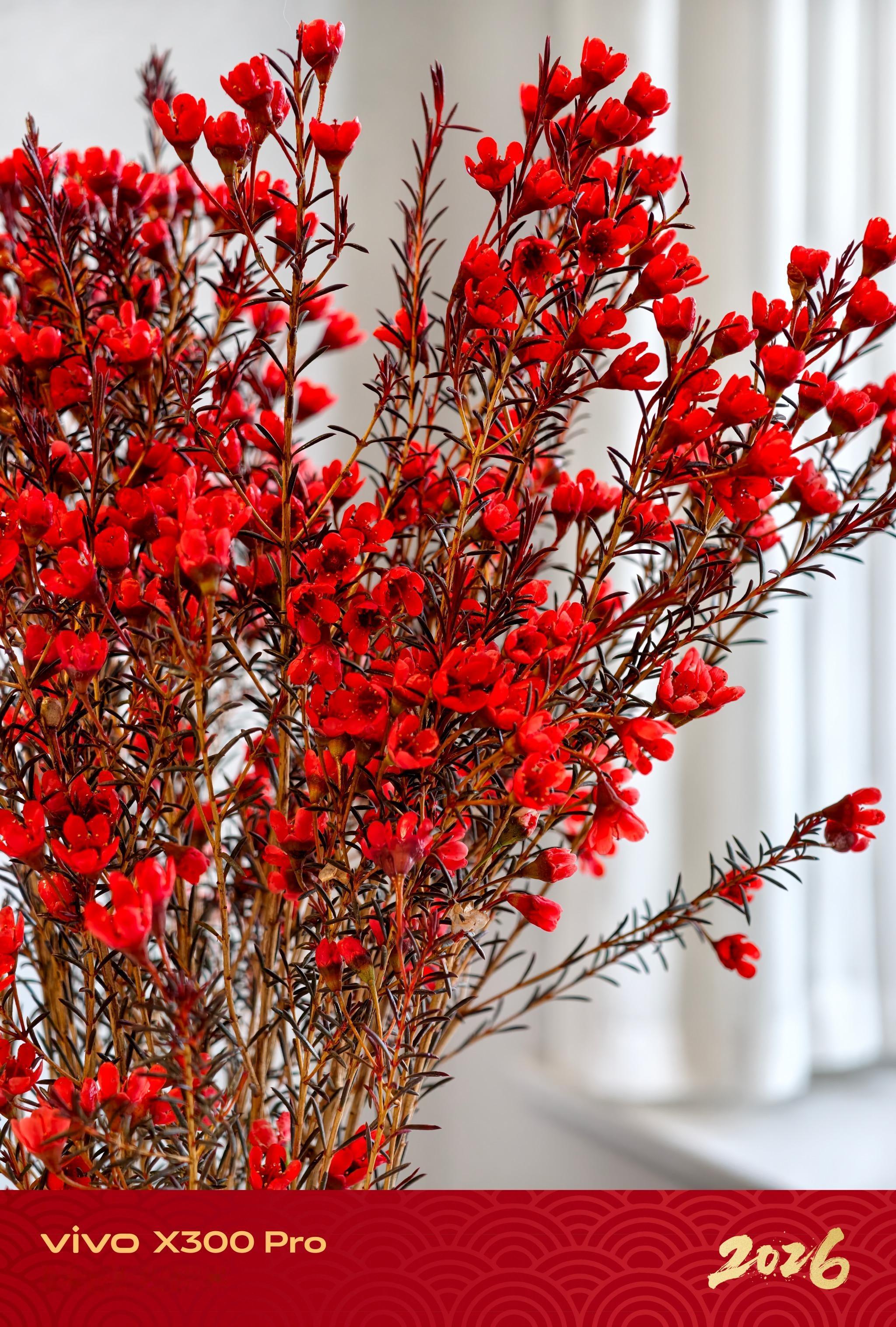 vivo支持2亿像素高清照片微博直发了，我来试试！ 