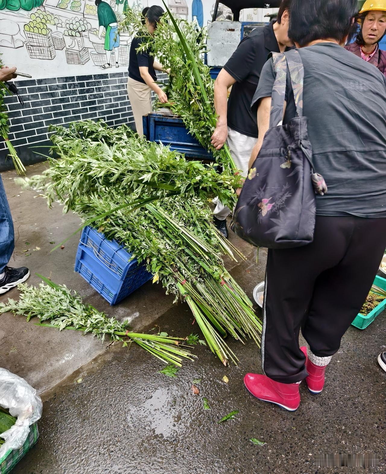 今天早上的农贸市场，最抢手最畅销的非艾草莫属。

在荆州地区松滋市，艾草是端午节